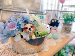 わんちゃん